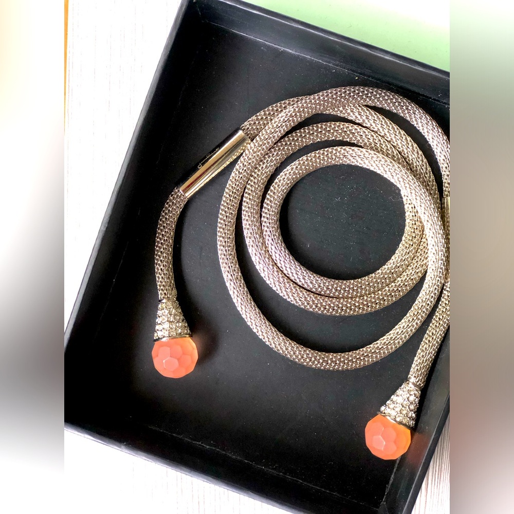 Jewelmint Lariat Necklace